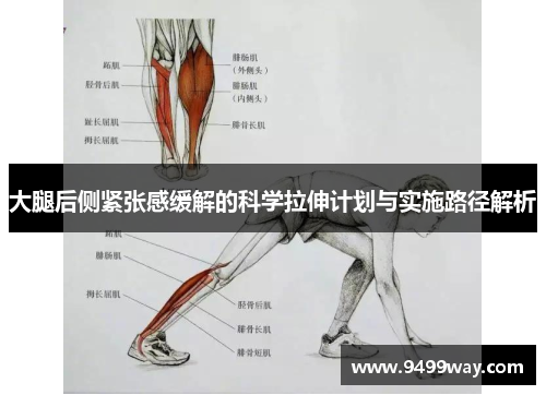 大腿后侧紧张感缓解的科学拉伸计划与实施路径解析
